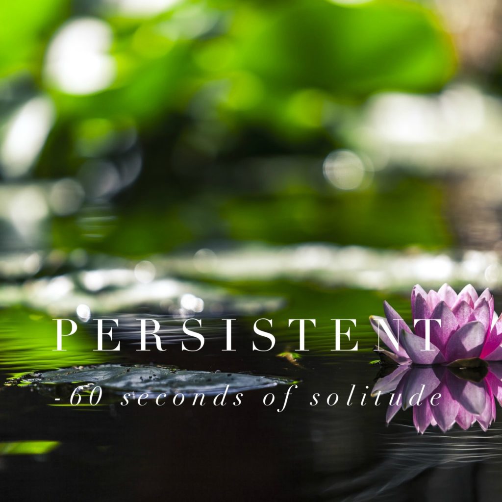 0326-persistent-meditation-meditation-podcast